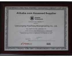 Alibaba Assessed Supplier